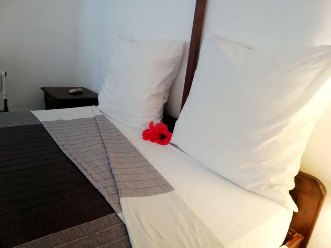 Hotel Jardin De La Paix Moroni Ngoại thất bức ảnh